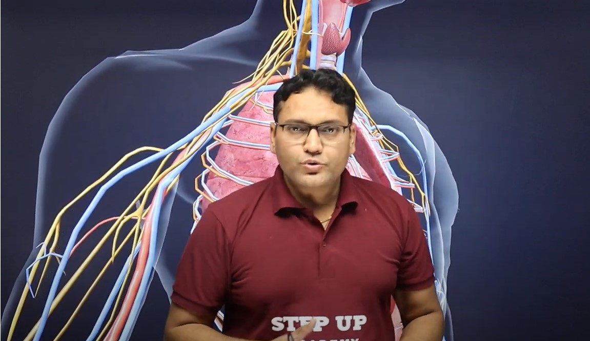 the-Animated-Electric-Pathway-of-the-Heart